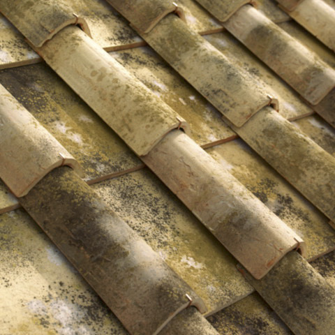 Copertura Malvasia