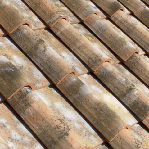 Copertura Vernaccia