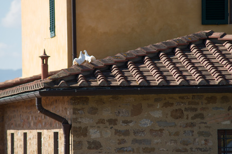 Ristrutturazione Agriturismo Savernano 