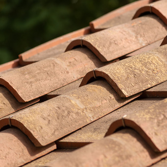 _DSC5271.jpg _DSC5271.jpg