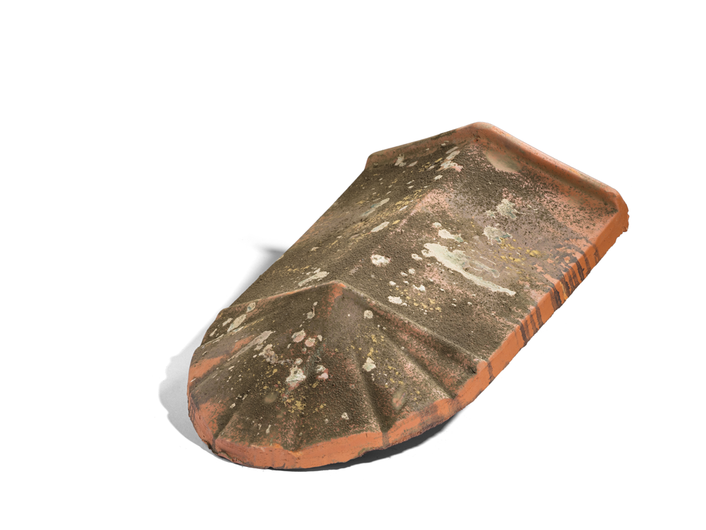 Finale a chiocciola Sangiovese - 