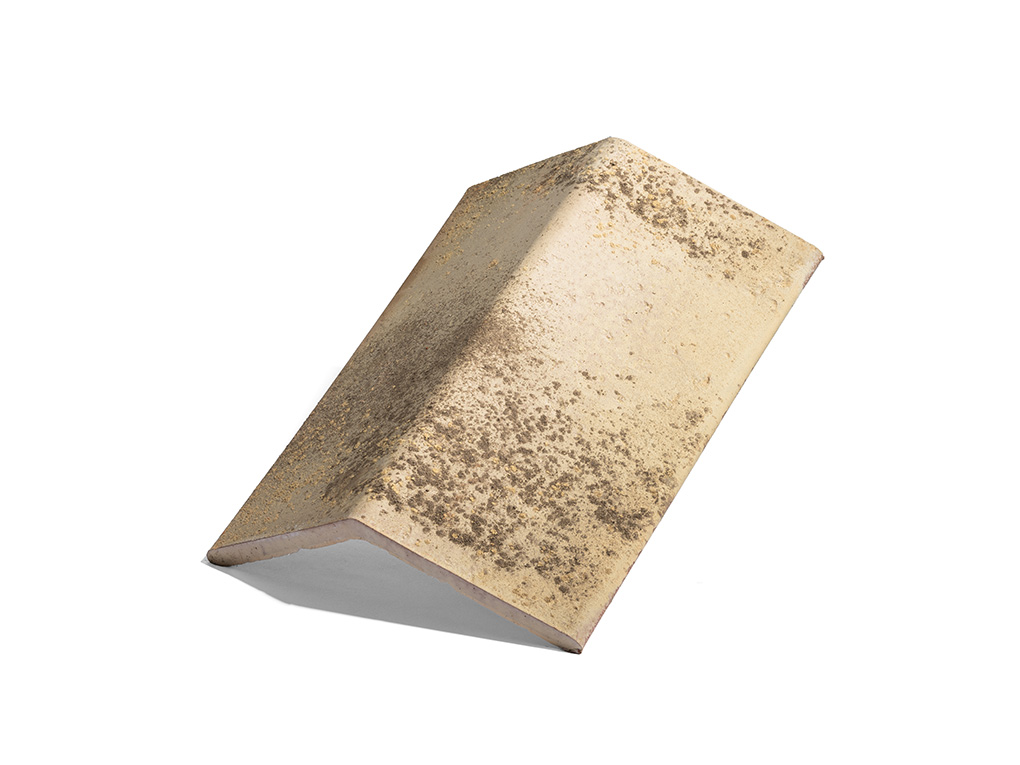 Colmo a libro Malvasia - 