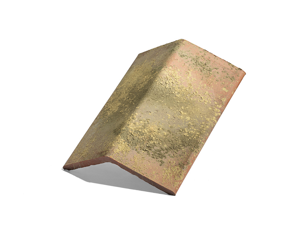 Colmo a libro Sangiovese - 